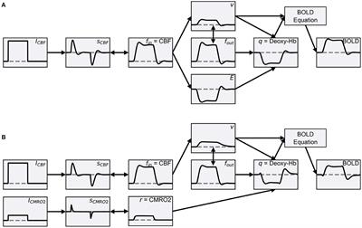 BOLD Monitoring in the Neural Simulator ANNarchy